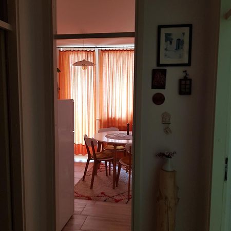 Apartmani Nina SJJ Buitenkant foto